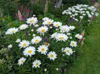 Royal Tasmanian Botanical Gardens