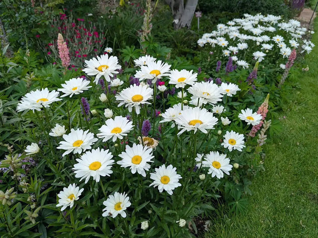 Royal Tasmanian Botanical Gardens