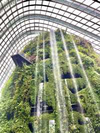 실내에 있는 35m 웅장한 폭포 온실🌳💦