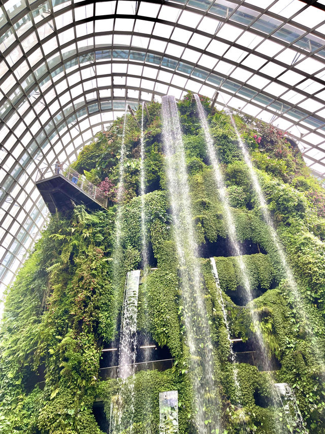 실내에 있는 35m 웅장한 폭포 온실🌳💦