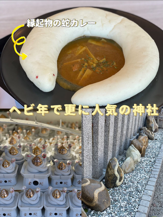 【宮城×冬の旅】金運アップで有名な神社 ヘビ年で更に人気！！ 