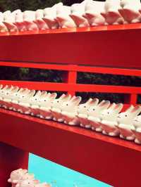【京都】“うさぎ神社”で縁結び＆子授け祈願🐇✨
