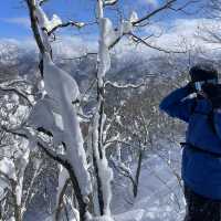 Bluebird Powder day in Cortina, Hakuba, Japan ! 