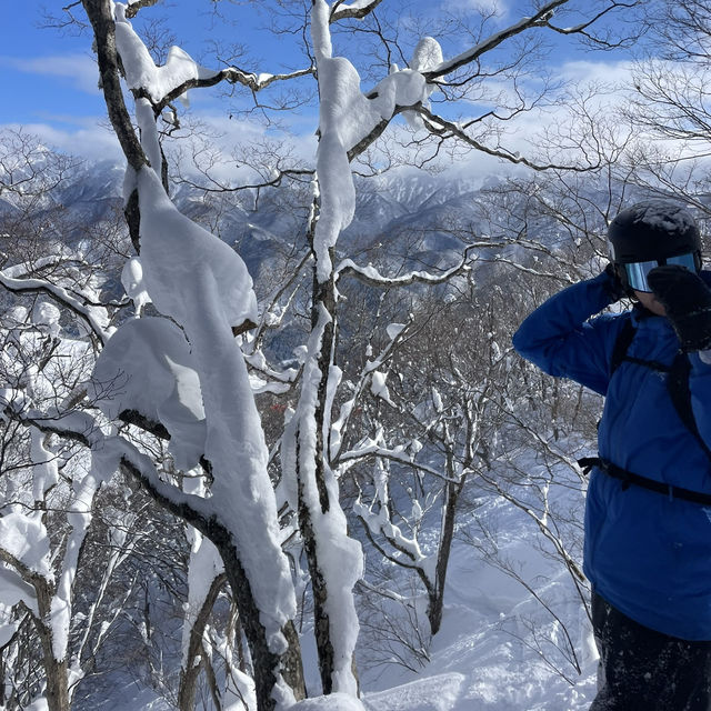 Bluebird Powder day in Cortina, Hakuba, Japan ! 