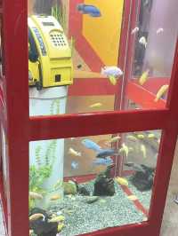 🇰🇷 Coex Aquarium, Seoul 🪼🐠🫧
