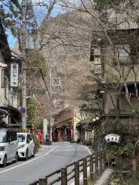 Peaceful Walk around Kifune Shrine, Kyoto 🇯🇵