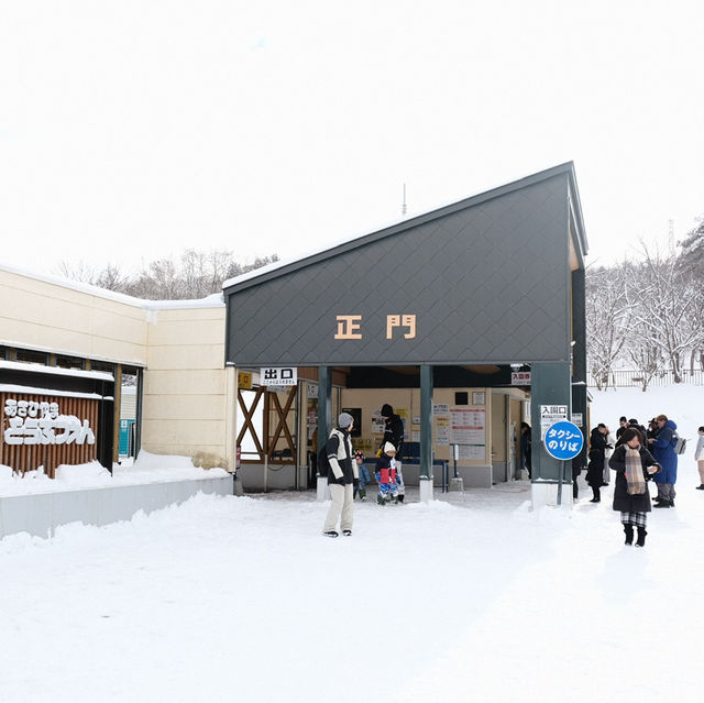 🇯🇵Asahiyama zoo