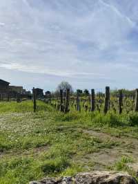 Saint-Émilion: A Timeless Wine Lover’s Paradise