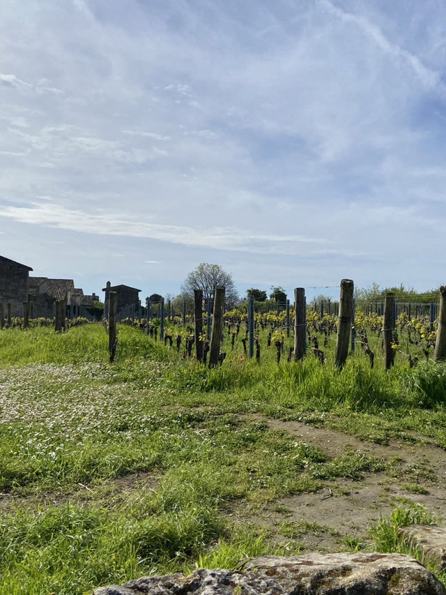 Saint-Émilion: A Timeless Wine Lover’s Paradise