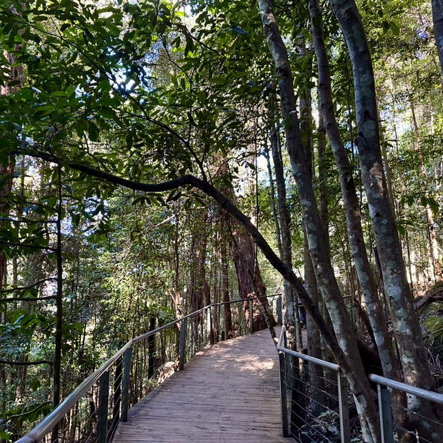 擁有世上最斜的纜車 - 藍山國家公園（Blue Mountains National Park）