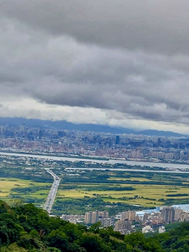 肉腳朝聖芒草勝地～二子坪步道&大屯山步道連走