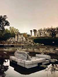 ✨Old summer palace ruins