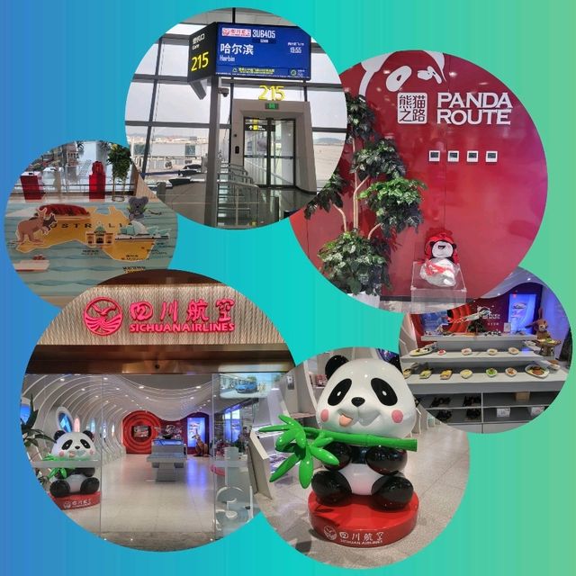 แจกแพลนเที่ยว🧳Bkk-Chengdu-Harbin 1 Day Trip