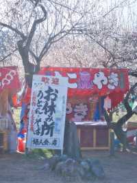 【埼玉】関東三大梅林‼️SLに乗って梅林の中を回れる⁉️ 