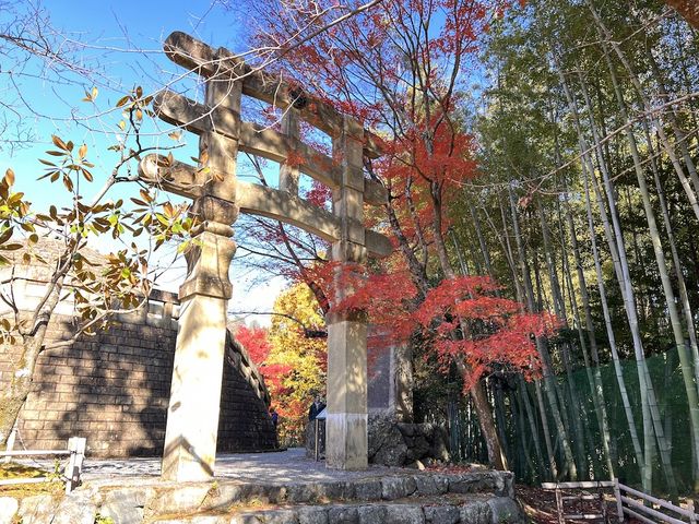 A Symphony of Colors – The Lonely Souls in the Adashino Nenbutsu-ji Temple