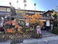 A Symphony of Colors – The Lonely Souls in the Adashino Nenbutsu-ji Temple