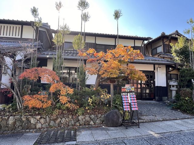 A Symphony of Colors – The Lonely Souls in the Adashino Nenbutsu-ji Temple