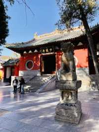 🇨🇳 Day Trip to Shaolin Temple: Where Kung Fu Legends Are Born