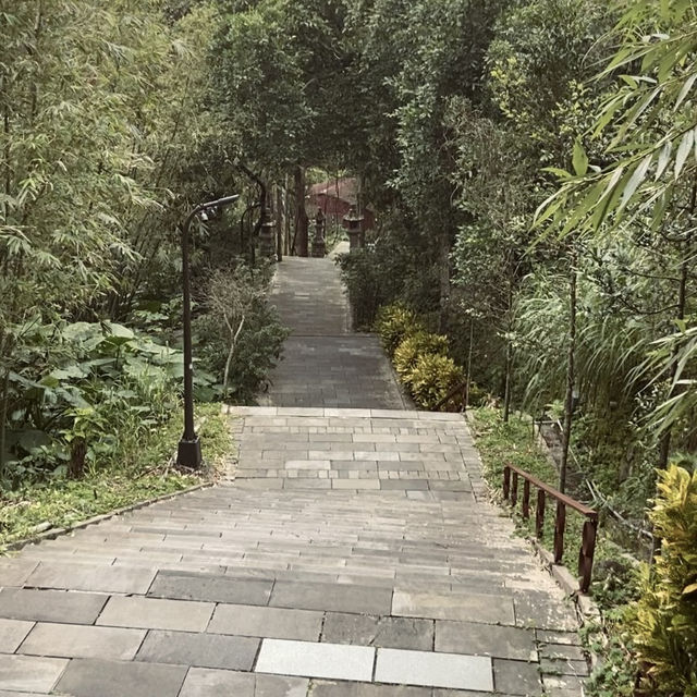 幽靜古樸的指南宮竹柏參道—彷彿走進日式秘境