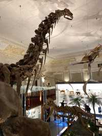 國立臺灣博物館古生物館—恐龍與歷史的交會點