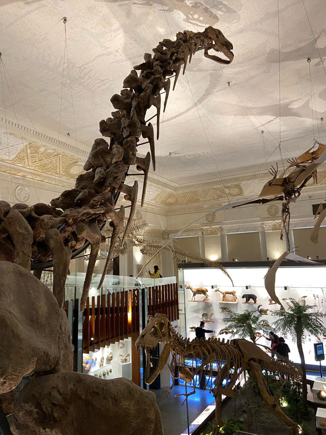 國立臺灣博物館古生物館—恐龍與歷史的交會點