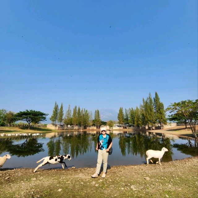 ที่เที่ยวพร้อมAdventure : ISBJØRN CHIANGDAO