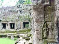 A Temple Frozen in Time: Ta Prohm