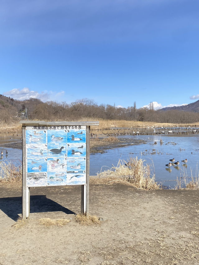 日本長野 冬天必去！