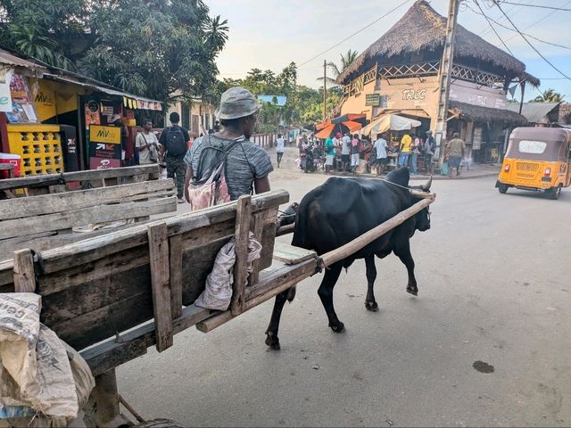 ノシベの街歩き