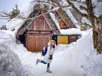 【岐阜】冬の絶景！白川郷の合掌造り集落❄