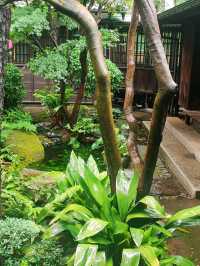 Kyu Asakura House: Step into Old Tokyo