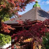 Gotokuji Temple