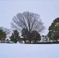 文來公園：冰雪童話世界 ❄️🏞️