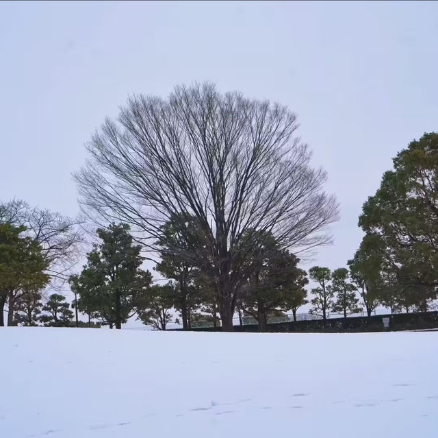 文來公園：冰雪童話世界 ❄️🏞️