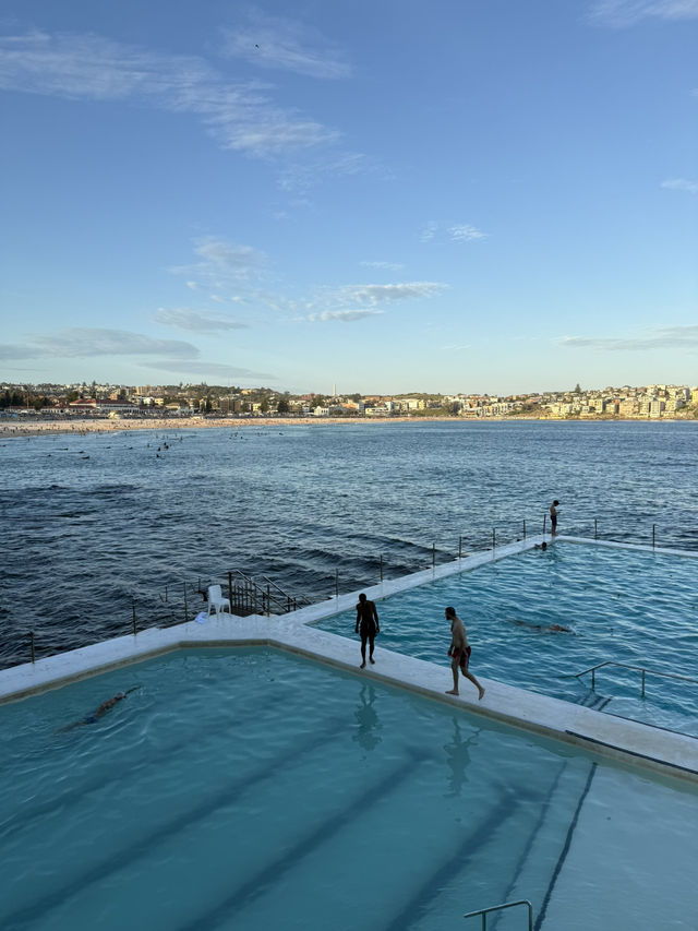 Icebergs Pools