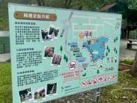 宜蘭景點（梅花湖+羅東林業文化園區+望龍埤）ㄧ日遊