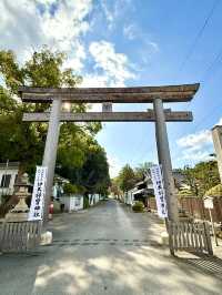 【和歌山県】樹木の神様のもとで木の股くぐり
