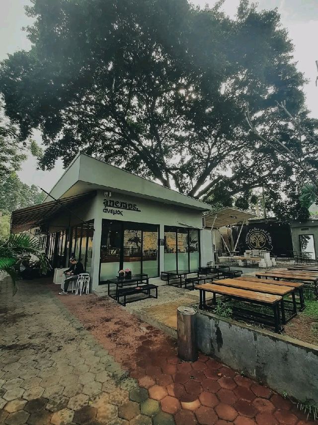 ANEMOS COFFEE