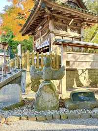 【徳島県】ターコイズブルーの神秘な鏡池