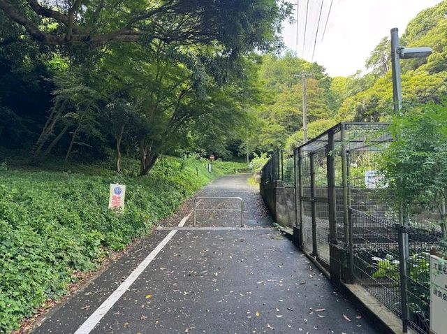 Minami Park (南公園)