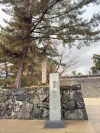 松江城天守閣：歷史與壯麗的巔峰🏯🌄