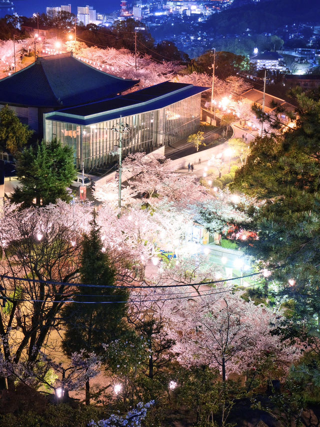 【広島】行かなきゃ損‼️尾道水道×桜の絶景🌸 ライトアップも✨