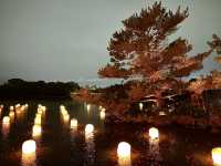 แสงสี ท่ามกลางธรรมชาติ ยามค่ำคืน ณ โอซาก้า