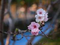 享受自然 . 大埔海濱公園