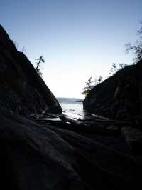 🌿 Lighthouse Park：大自然の中で絶景を楽しむバンクーバーの隠れスポット