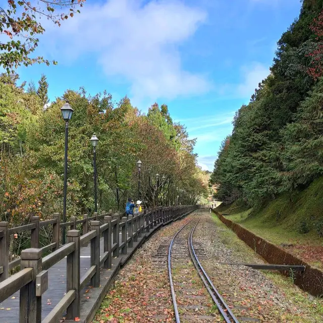 เส้นทางเดินป่าต้ากาวเยว่