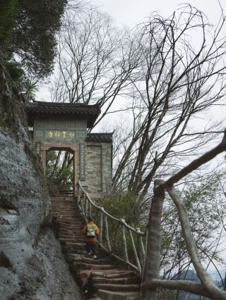 🌿 Springtime Magic in Wuyi Mountain 🌿
