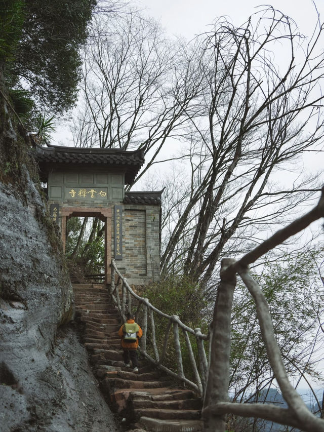 🌿 Springtime Magic in Wuyi Mountain 🌿