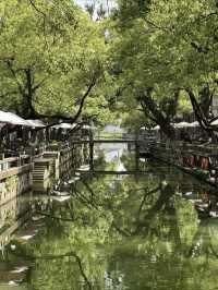 Wuxi: A Weekend of Culture and Delicious Food 🍜