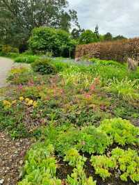 Harris Garden